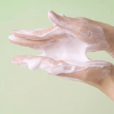 SKIN 1004 Madagascar Centella BHA Foam  🌿